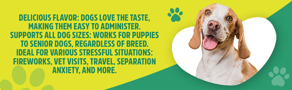 Barking Hugs Calming Chews for Dogs